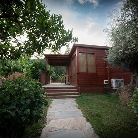 El Jardin Del Eden Villa Orgiva Eksteriør billede